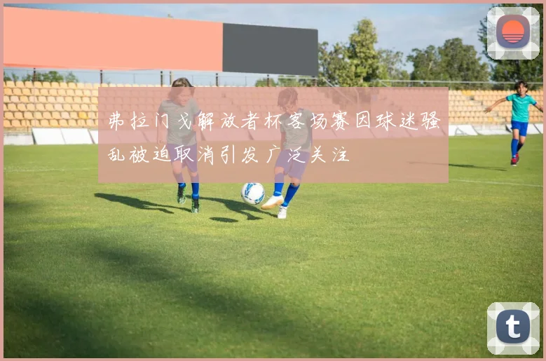 弗拉门戈解放者杯客场赛因球迷骚乱被迫取消引发广泛关注